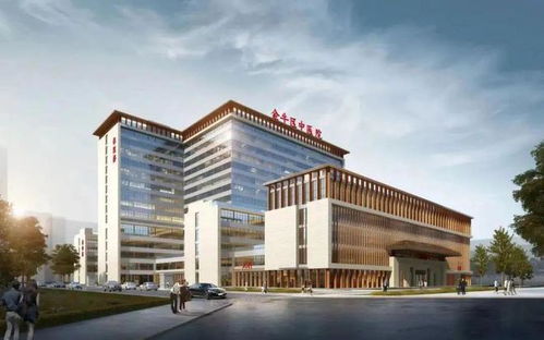 成都weekly 高新區多宗地塊規劃調整,含金融城一地塊