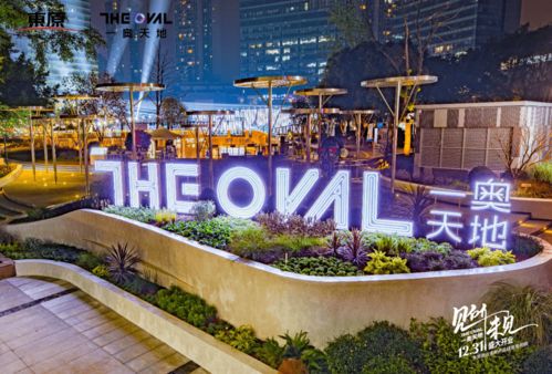 贏商盤點 2020年西南10大標桿購物中心解讀