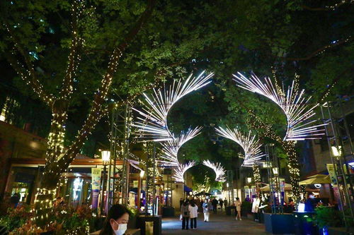 年末最靚最潮最美味的都在這兒了,拿去不謝