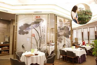 福田霸王龍主題mall一歲生日宴，購(gòu)物新天地盛大開啟